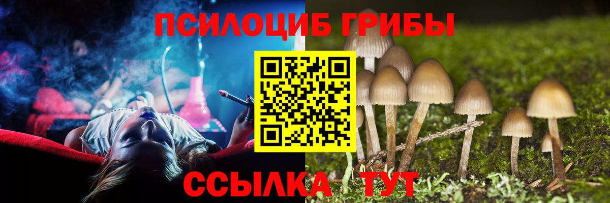 Псилоцибиновые грибы ЛСД Шадринск